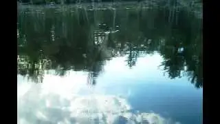 frog fishing