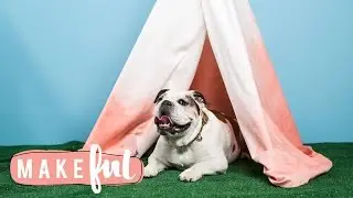 DIY Ombre Dyed Dog Tee Pee | Pet Projects