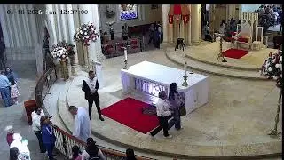 Transmisión Eucaristía Basílica de Lourdes   2026