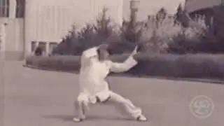 Shadela-la-la : 