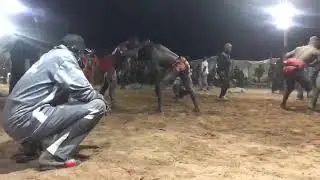 MBOULOUM tv en direct lamb badoudou le 22 janvier 2024