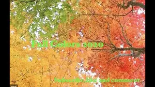 MN Fall Colors @ BunkerBeach Regional Park/Trial/CampSites( Tibetan Vlogger)