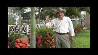 mieles divinas- omar sibo