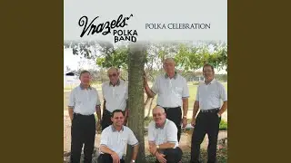 Polka Celebration