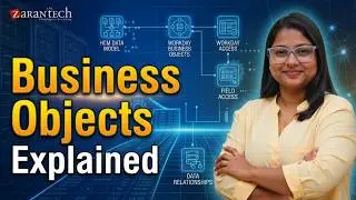 Business Objects and Fields in Workday HCM | ZaranTech