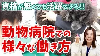 実は資格がなくても動物病院で働けるって知ってますか？　現役獣医師が動物病院での様々な働き方を紹介します！