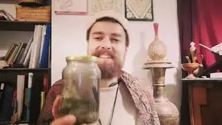 Hijama (Cupping) & leeches in Sufi holistic healing therapy + traditional ayurveda + blood & carma