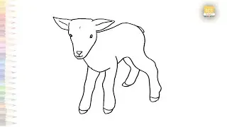 Cute Lamb drawing easy | Baby sheep drawing | How to draw A Lamb step by step | #artjanag