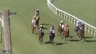 RACE 5 TAMPA BAY DOWNS USA 25 JAN 2026