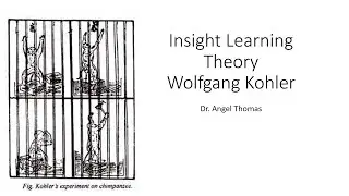 Insight Learning Theory-Kohler