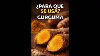 C&uacute;rcuma en la vida diaria | Receta casera