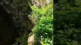 The beautiful nature of the four seasons of our village   #shortvideo #viralvideo #viral #vlog