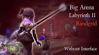 New Dragon Nest | Big Arena 11 Labyrinth | Without Interface