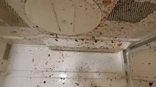 Heavy Duty Microwave Cleaning Part 2