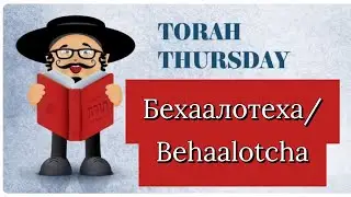 12 июня 2025 Бехаалотеха/ Behaalotcha