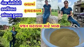 BENEFITS OF MORINGA POWDER | બધી જ બીમારીઓનો રામબાણ ઈલાજ | સરગવા નો પાવડર