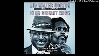 Big Walter Horton Blues Band   -   St Louis Blues