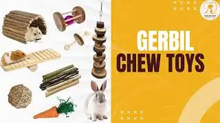 Gerbil Chew Toys DIY | Hamster  Chew Toys | Gerbil's Toys 2024 | The Set Pet