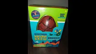 Ginormous hatchin grow dragon
