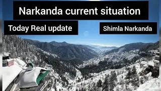 Today 20 january Narkanda current situation| Shimla snowfall updates| Himachal Pradesh 
