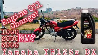 When to change Engine Oil | 1000km? 2000km? 3000km? | Yamaha Yb125z DX