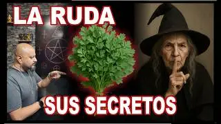 Los secretos de la RUDA &ndash; Poderes Ocultos | Esoterismo Ayuda Espiritual