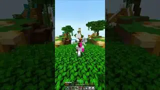 Minecraft bedwars