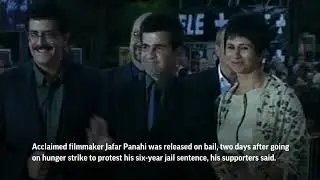 Iranian director freed on bail Friday after hunger strike