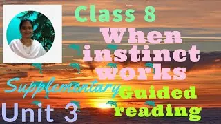 When instinct works class 8 unit 3 supplementary Guided reading