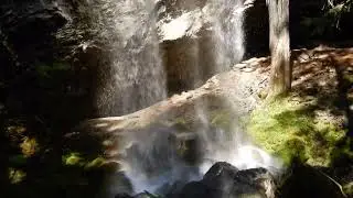 Grotto Falls Oregon