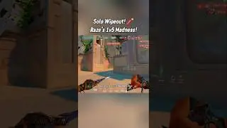 Solo Wipeout! 🧨 Raze&rsquo;s 1v5 Madness!#valorantcommunity #valoranthighlights #valorantclips