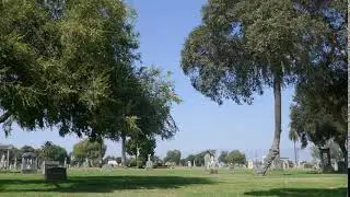 Actor Ted Healy's Grave Calvary Cemetery Los Angeles, California USA 9-4-2020