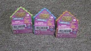 Animal Jam Blind Box Opening