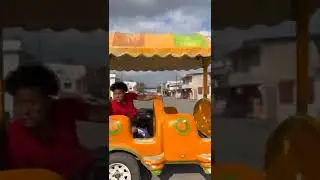 Pimpon Patolin Misael y misub papeles caballero