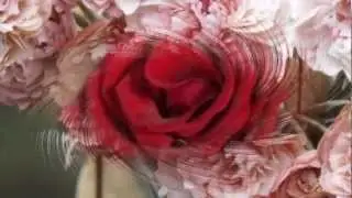 İstanbul Şarkıları - Bahar Geldi Gül Açıldı