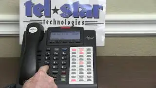 ESI phone system holiday mode