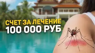 Нужна ли страховка для въезда в Таиланд? | Цены на лечение: Денге, Отравление, Аллергия и Ожоги