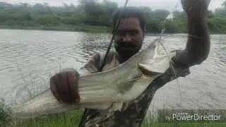 Amazing Big padan fish || incredible fishing || New trick by 786fisherman.