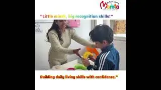 Visual Learning: Tiffin Identify Activity#autism#learningthroughplay#learning#specialeducation#like