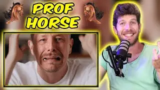 PROF - Horse Reaction