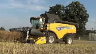 Żniwa rzepakowe 2012 cz.2 - Engine Sound - New Holland CX8060 / Ursus / BSS