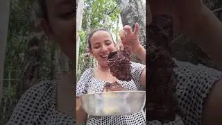 comidas bem paraense, a&ccedil;a&iacute;, bacaba , carne assada