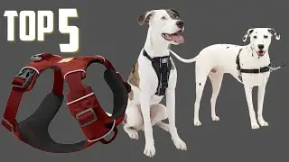 ✅Best No-Pull Dog Harnesses in 2025 [ Top 5 Best No-Pull Dog Harnesses]