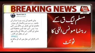 PML Q Leader Monis Elahi's Twitter Message