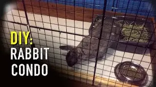 How to build a Bunny Condo - Part 1