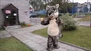 Elabika mascot costumes Lynx brand mascot Developres SkyRes Rzesz&oacute;wl animal mascot costumes