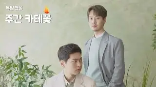 라포엠 -  주간 카테꽃 ①