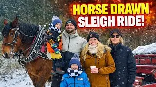 WE WENT ON A HORSE DRAWN SLEIGH RIDE!