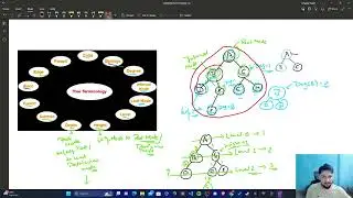 BFS Algorithm | Breadth First Search| Tree & Graph Terminologies | Tree Traversal | Graph Traversal