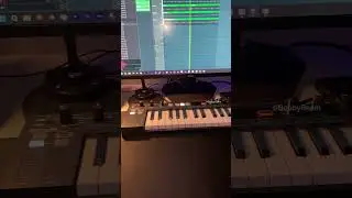 Ensoniq ASR-10 Rack, AKAI MPC 2000XL, RME Fireface 802 FS, FL Studio